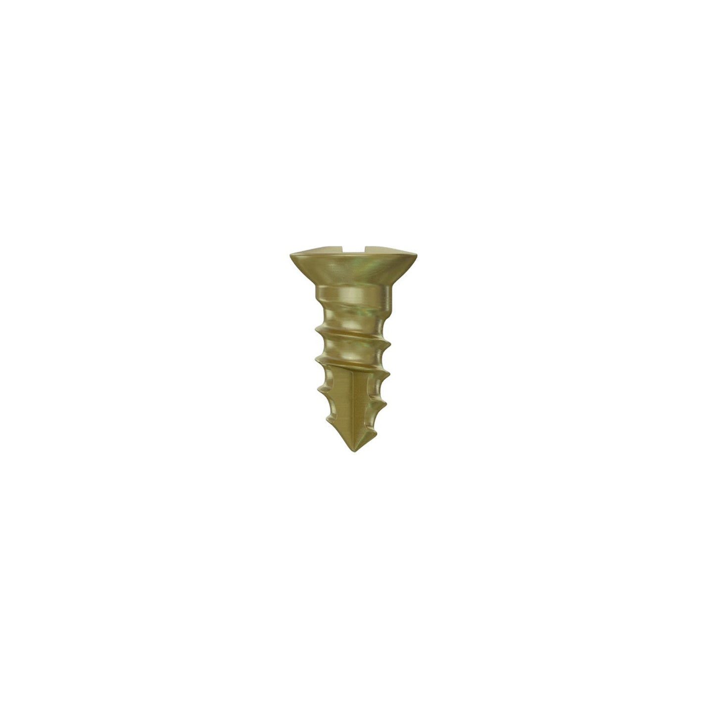 GBR Bone Screw Ø1.6mm
