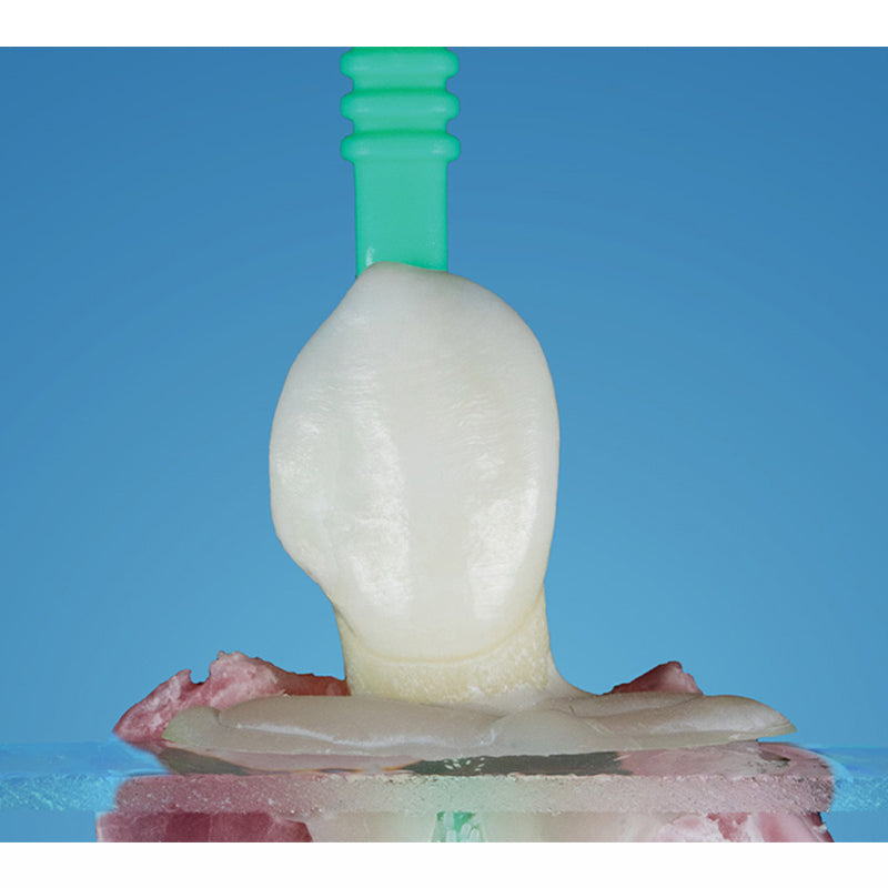 MIXPAC™ ZerofloX™ Eredeti Mikroecset Applikátorok 50 db/csomag